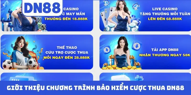 Giới thiệu chương trình bảo hiểm cược thua DN88