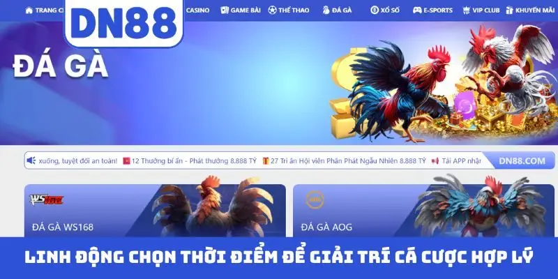 Linh động chọn thời điểm để giải trí cá cược hợp lý